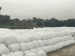 Silage|makki silage|Corn Silage for animal feed,good Quality3427526028