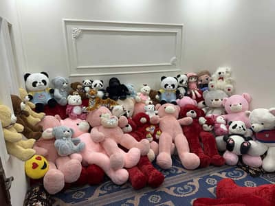 Stuff Toys Teddy Bear Panda Unicon & All animal Characters Stuff Toys