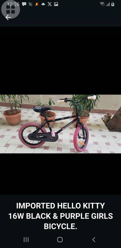 Imported 16 Wheel Bicycle