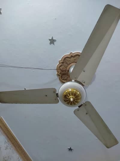 Pak Fans original copper motor for sale