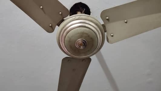 Indus ceiling fan electric