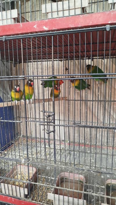 black mask yellow chest