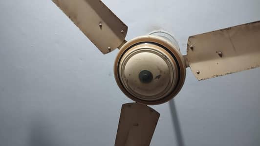 ceiling fan electric