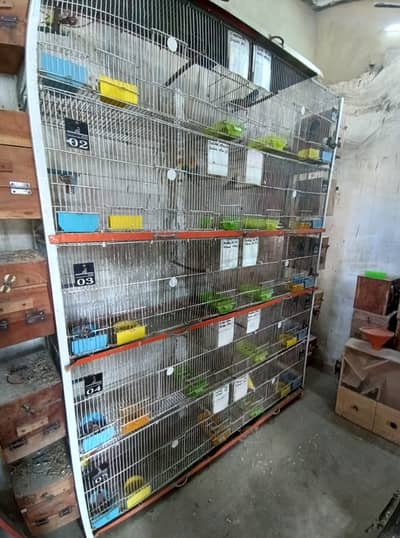 10 portion folding cage