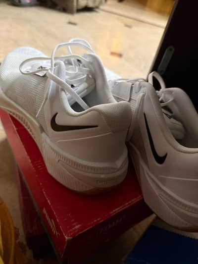 03341335691 contqcf on this number not on shown num please