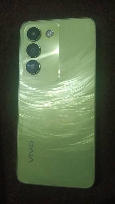 vivo y 100 8 256 only phone or charger