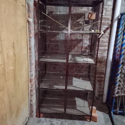 bird cage