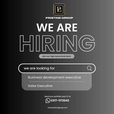 Business development executive | Sales executive
