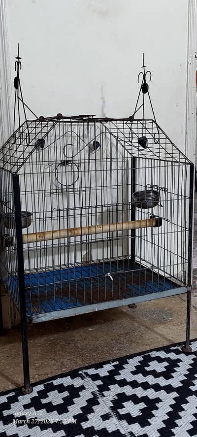 parrot cage