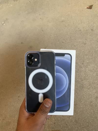 iPhone 12.03273379611