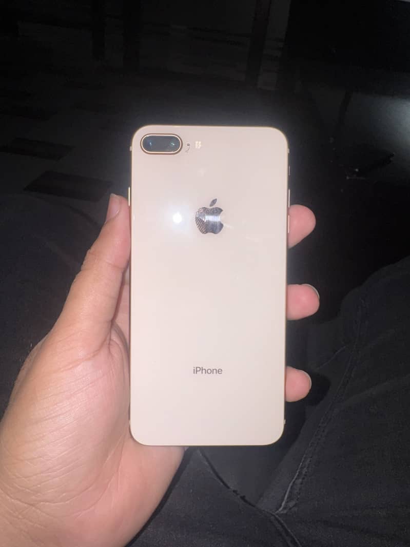 8 plus pta 2