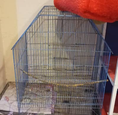 Bird cage for sale