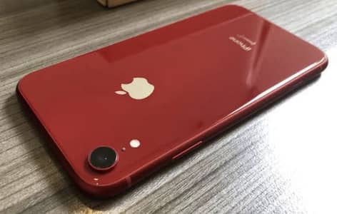 iPhone XR PTA approved