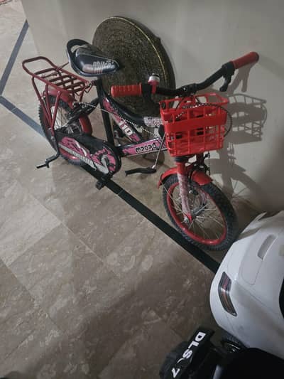 Kids bike for 4 to 6 year old