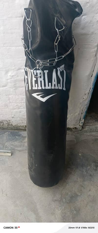 Everlast Punching Bag filled with Stand