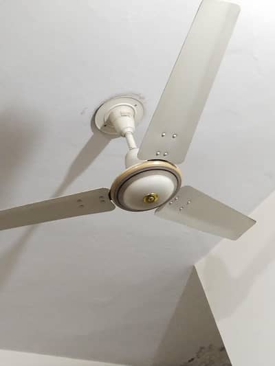 Royal Ceiling Fans