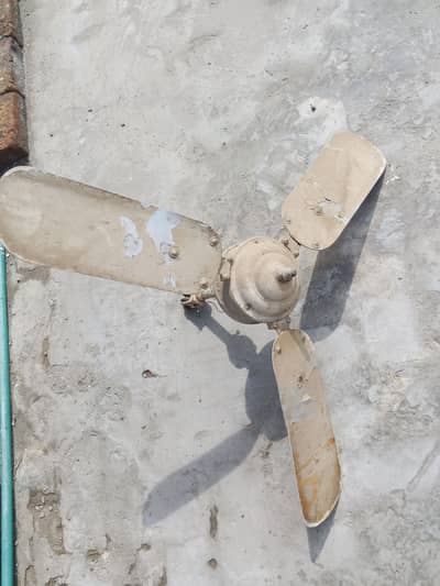 Old vintage ceiling fan for library office work