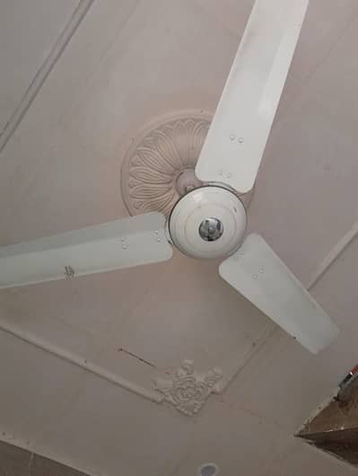 Fan for Sale