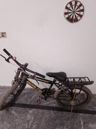 Falcon China import Cycle