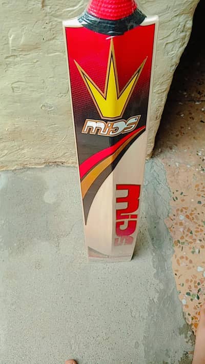 English willow cricket Bat