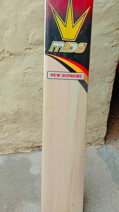 English willow cricket Bat