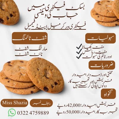 Biscuit Factory Staff Required | Male & Female | Lahore