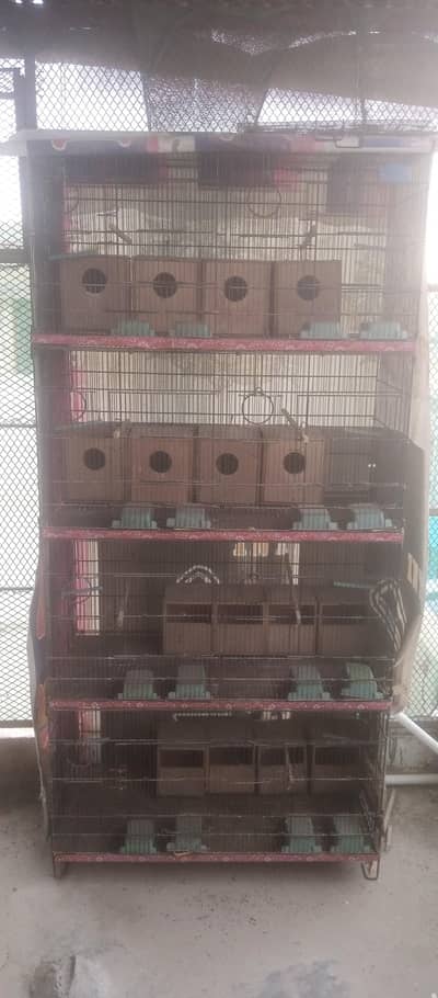8 portion folding cage with 16 boxes