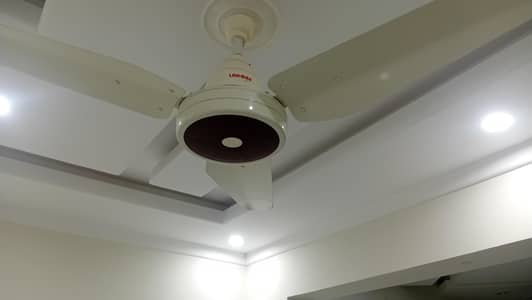 13 Lahore fan Original