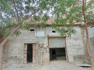 house for seal Main rood