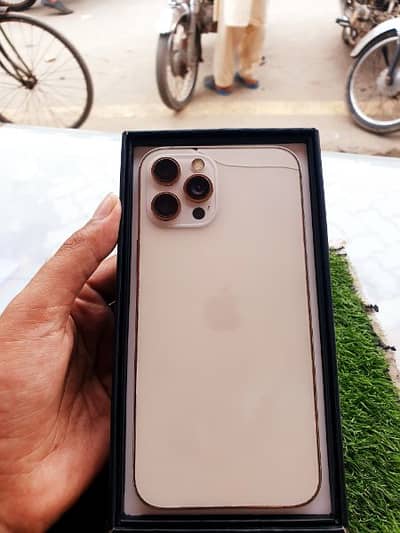 12 pro max 128 factory