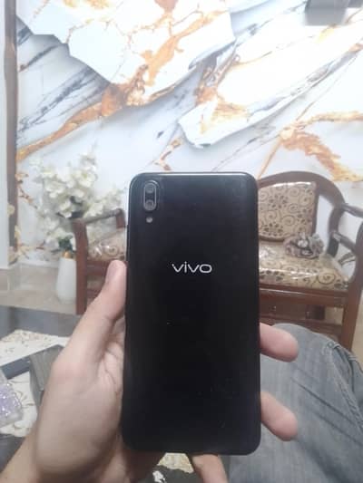 vivo kit.