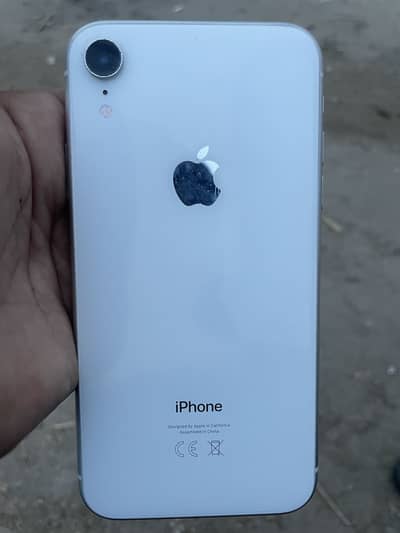 iPhone XR
