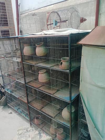 12 Partition Boxes Cage