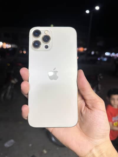 iphone 12 pro max dual pta waterpac