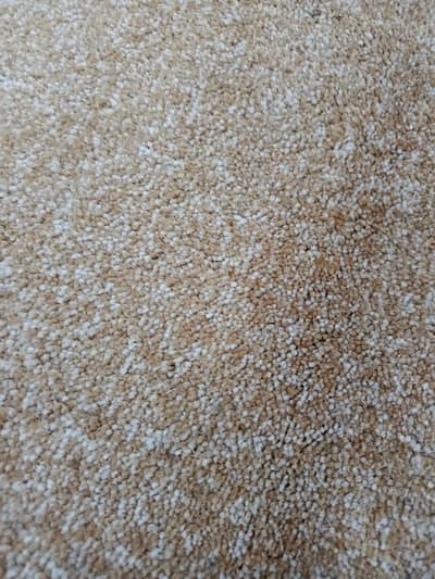 floor carpet for rooms.