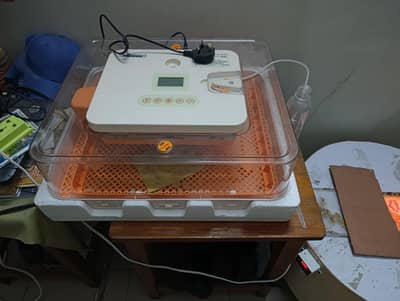 fully automatic incubator