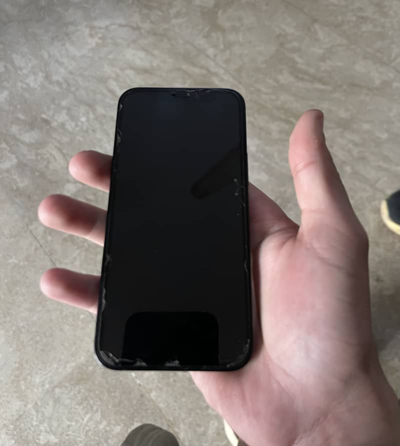 iPhone 12 Mini 1