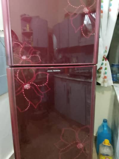 Premium Fridges for Every Home