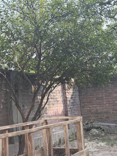 Ghar k kam k lyay female mulazma ke zrorat ha