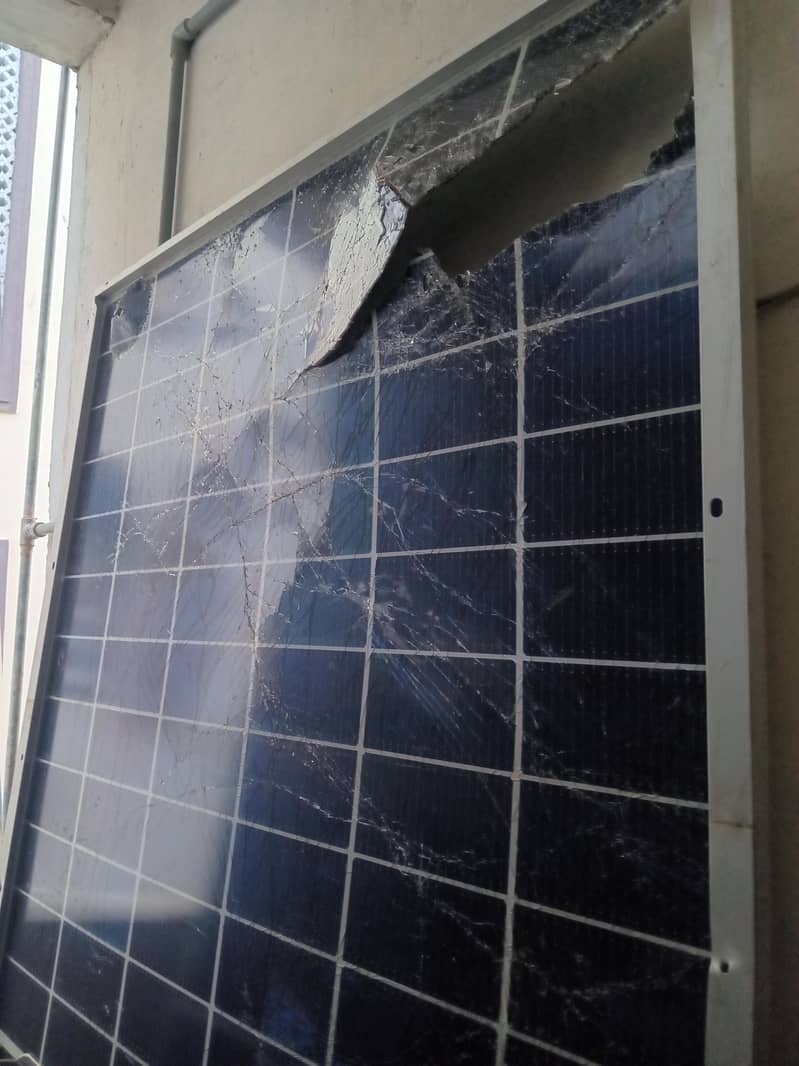 longi panels - Solar Panels - 1112701365