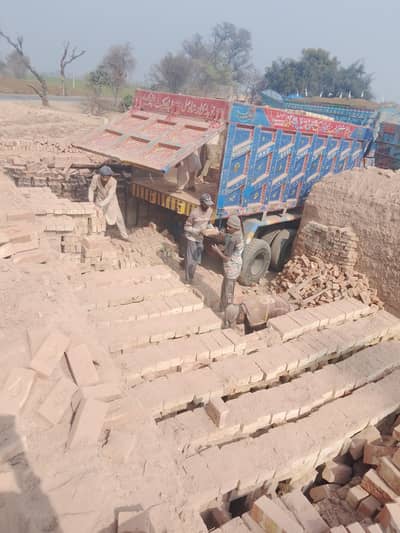 Fresh bricks  sale