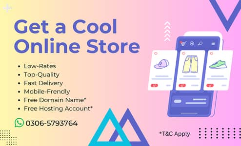 Online Store Developer in Pakistan