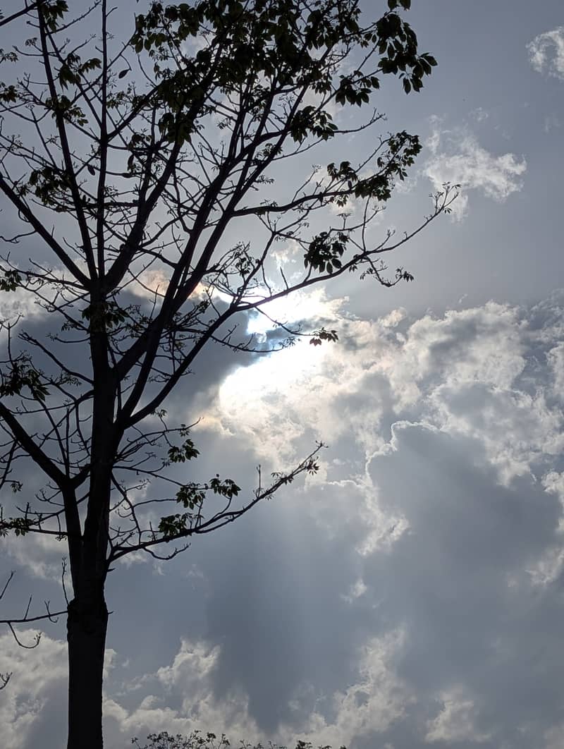 Google Pixel 6 Pro 5