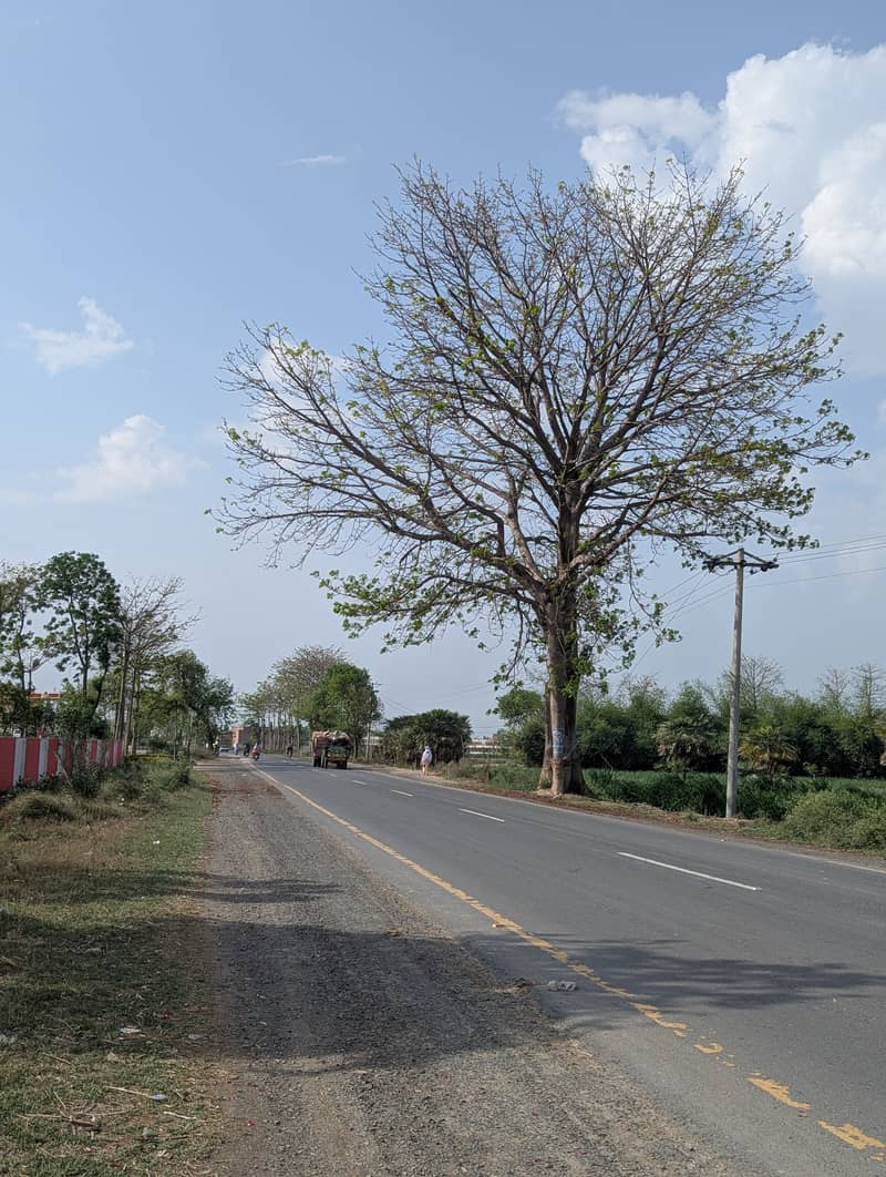 Google Pixel 6 Pro 6