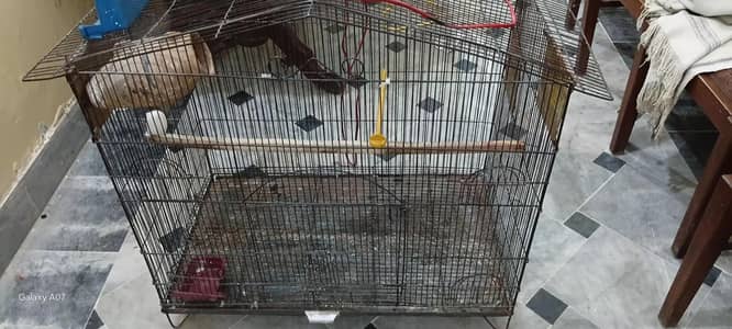 parrot cage