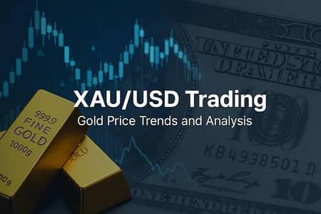 Female Trader Required - Wah Cantt  or Islamabad Only