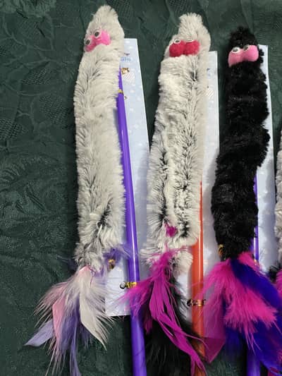 Buy new cat toy stick with free Pair of New 3 earrings only 1000