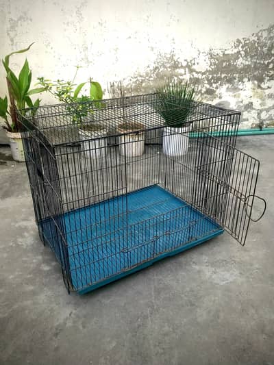 Foldable Cages for Birds, Hens & cats