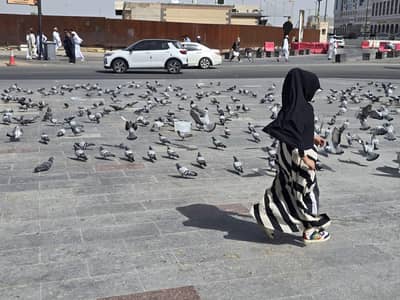 Receptionist cum telephone operator