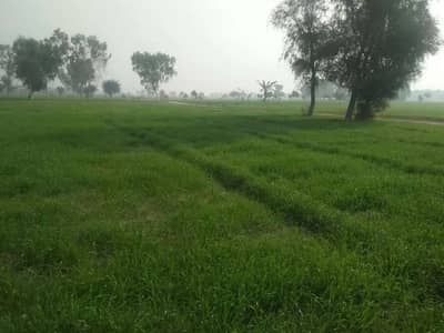 Zimedara / Farm / Garden /Agricultural land / Livestock / زمیندارہ